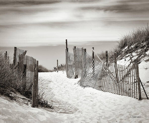 Beach Poster featuring the photograph Beach Walk by Jim Carlen