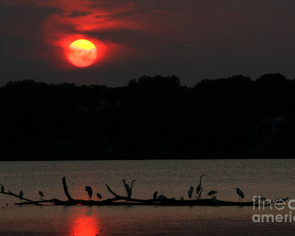 Lanndscape Poster featuring the photograph 0016 White Rock Lake Dallas Texas by Francisco Pulido