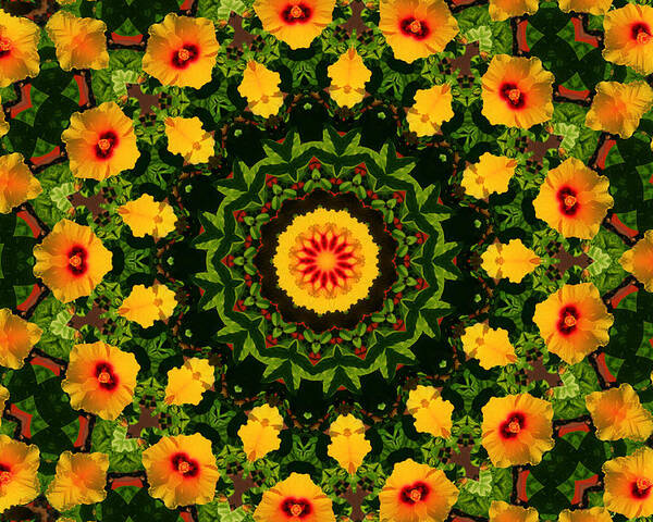 Hibiscus Poster featuring the photograph Hibiscus Kaleidoscope by Bill Barber