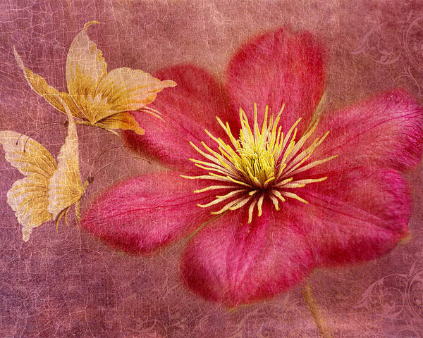 Pink Clematis Flower Poster featuring the photograph In Dance by Marina Kojukhova