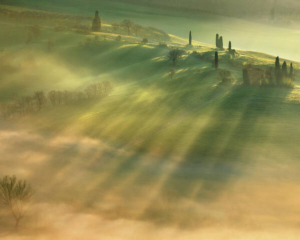Landscape Poster featuring the photograph Mist... by Krzysztof Browko