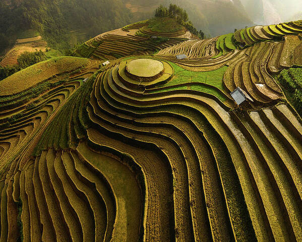 Landscape Poster featuring the photograph Mu Cang Chai - Vietnam by ????o T???n Ph??t