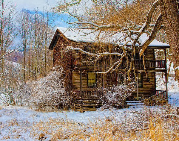 Log House Poster featuring the photograph This Old House #1 by Ronald Lutz