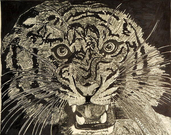Tiger Poster featuring the drawing Tiger by Denis Gloudeman