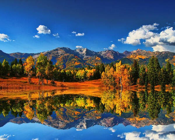 Landscape Poster featuring the photograph Fall Colors by Mark Smith