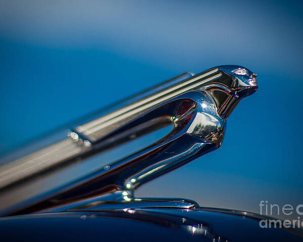 1940 Poster featuring the photograph 1940 Chevrolet Hood Ornament by T Lowry Wilson