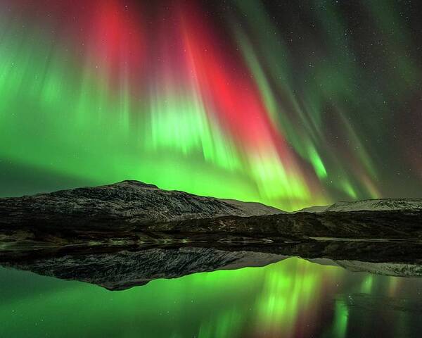 Nobody Poster featuring the photograph Aurora Borealis by Tommy Eliassen