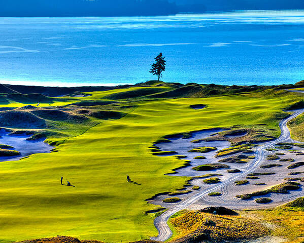 #5 At Chambers Bay Golf Course - Location Of The 2015 U.s. Open Tournament Poster featuring the photograph #5 at Chambers Bay Golf Course - Location of the 2015 U.S. Open Tournament by David Patterson