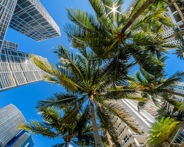 Architecture Poster featuring the photograph Downtown Miami Brickell Fisheye by Raul Rodriguez