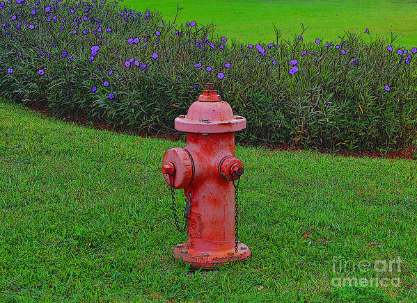 Fire Hydrant Poster featuring the photograph 62- Puppy Garden by Joseph Keane