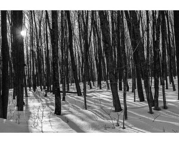 Monochrome Landscape Poster featuring the photograph A Long Winter's Day by Dan Hefle