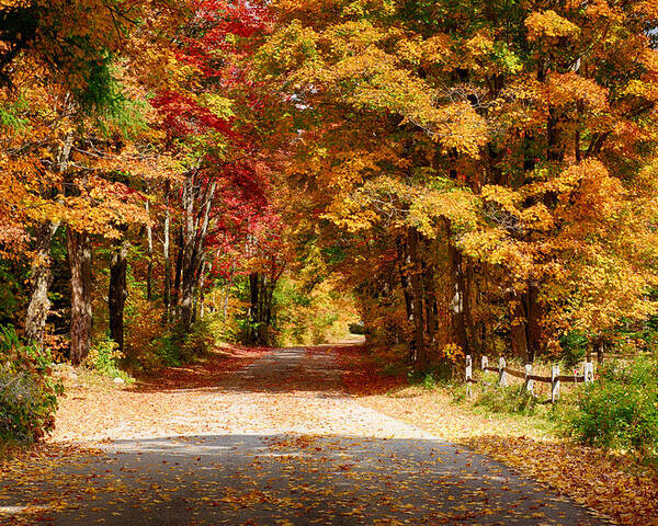 Vermont Fall Colors Poster featuring the photograph A quiet back road stroll by Jeff Folger