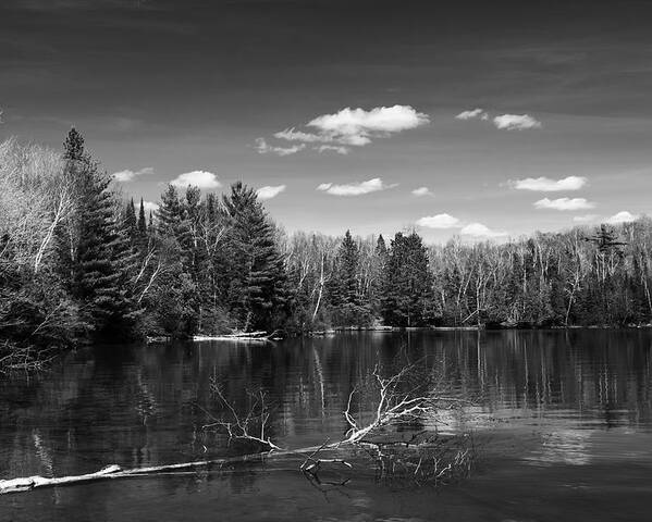 Monochrome Landscape Poster featuring the photograph A Quiet Cove by Dan Hefle
