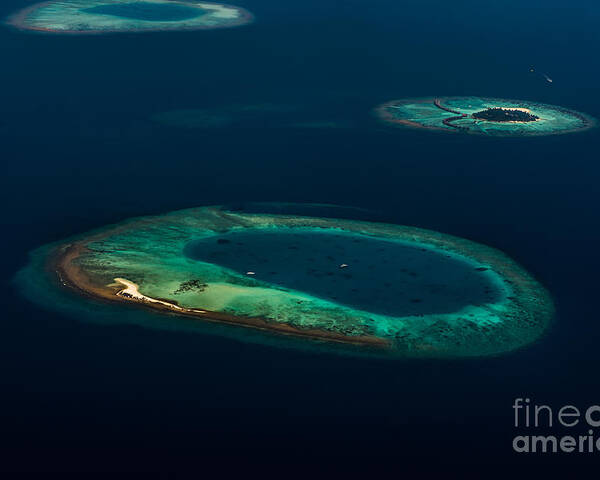 Atoll Poster featuring the photograph Above Paradise - Turtle by Hannes Cmarits