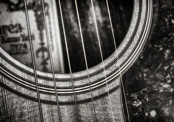 Guitar Poster featuring the photograph Acoustically Speaking by Scott Norris
