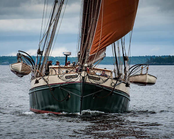 Windjammer Poster featuring the photograph Angelique Bow On by Fred LeBlanc