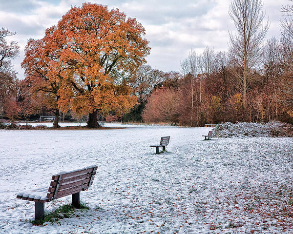 Shirley Mitchell Poster featuring the photograph Autumn meet Winter by Shirley Mitchell