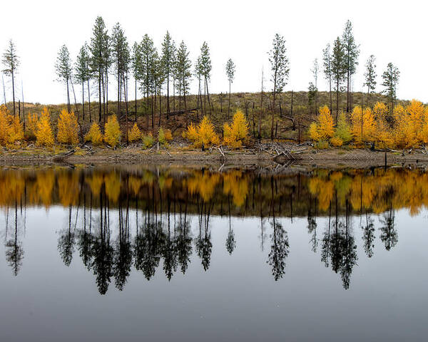 Reflections Poster featuring the photograph Autumn Reflection by Allan Van Gasbeck