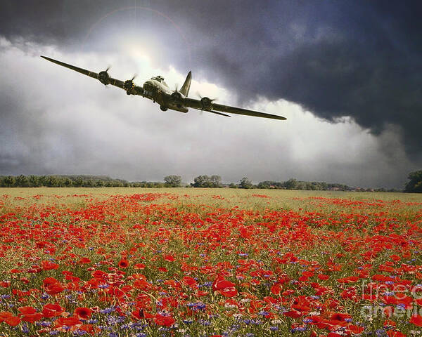 B-17 Flying Fortress Poster featuring the digital art B-17 Poppy Pride by Airpower Art