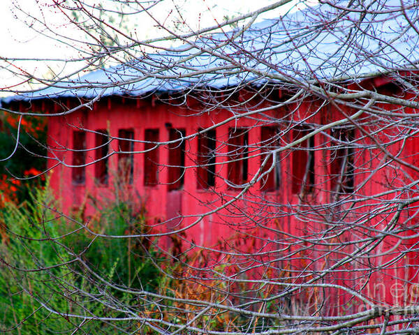 Barn Poster featuring the photograph Barn of Red by Diana Sainz by Diana Raquel Sainz