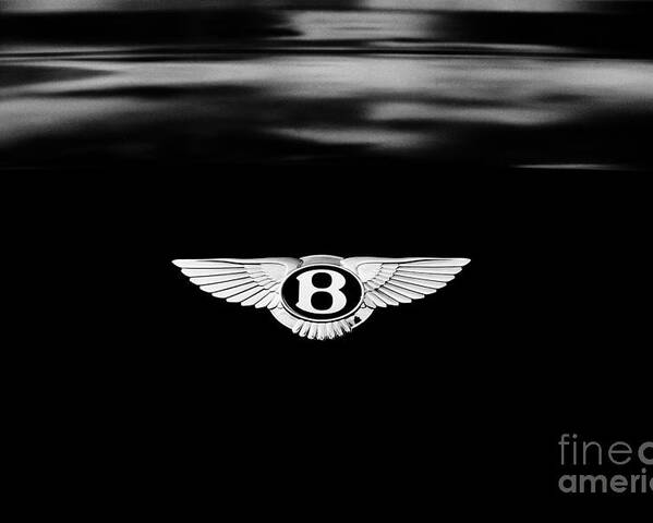Bentley Continental Gt Speed Convertible Poster featuring the photograph Bentley Continental GT by Tim Gainey