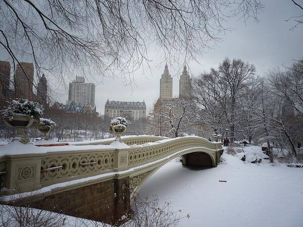 Landscape Poster featuring the photograph Bow Bridge Central Park in Winter by Vivienne Gucwa