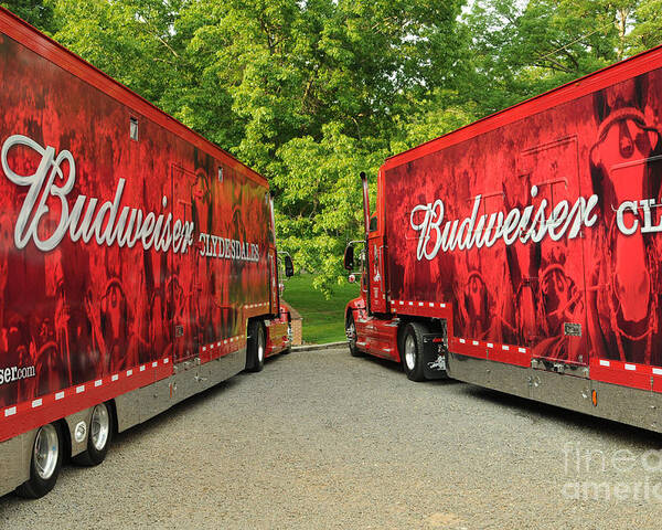 Budweiser Clydesdale Trucks Poster By Jt Photodesign