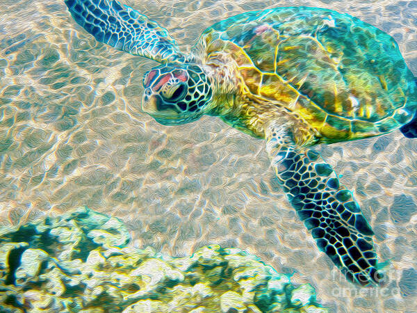 Caribbean Sea Turtle Poster featuring the mixed media Beautiful Sea Turtle by Jon Neidert