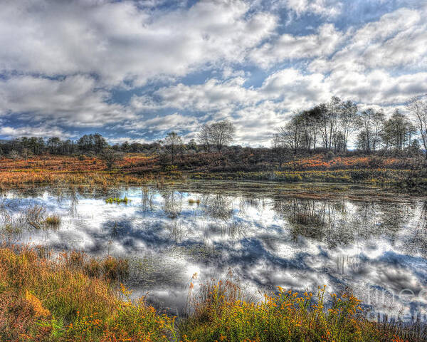 Clouds Poster featuring the photograph Cloud reflections in beaver pond Canaan Valley by Dan Friend