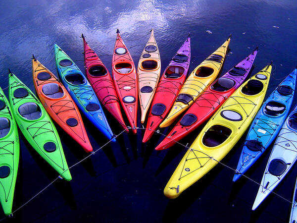 Kayak Poster featuring the photograph Clustered Kayaks by Owen Weber
