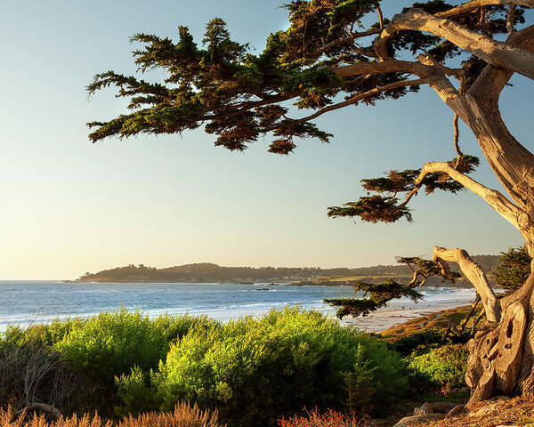 Scenics Poster featuring the photograph Colorful Beachfront In Carmel-by-the-sea by Pgiam