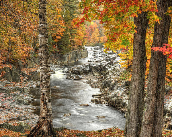 Photograph Poster featuring the photograph Colorful Creek by Richard Gehlbach