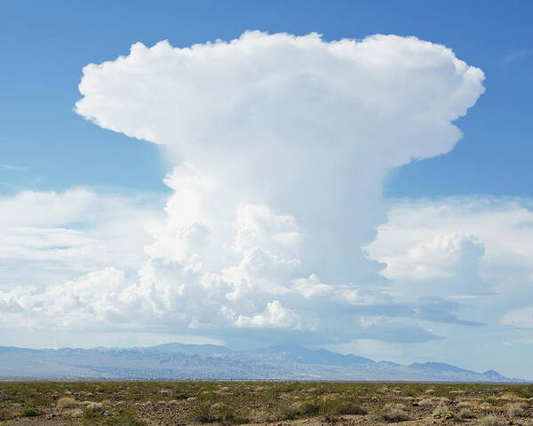 Cumulus Nimbus Cloud, Mojave Desert Poster by Nine Ok