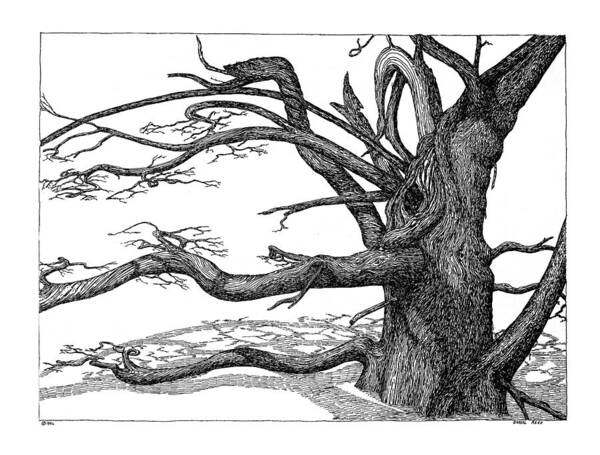 Nature Poster featuring the drawing Dead Tree by Daniel Reed