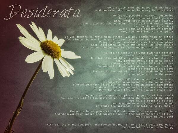 Desiderata Poster featuring the photograph Desiderata with Daisy by Marianna Mills