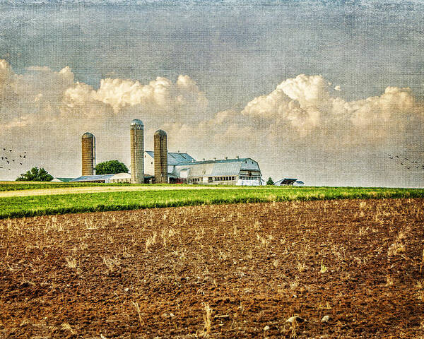Farm Poster featuring the photograph Down On The Farm by Cathy Kovarik