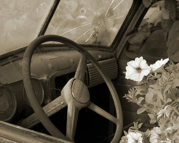 Sepia Poster featuring the photograph Driving Flowers by Arthur Fix