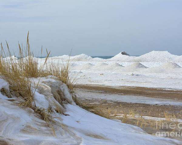 Dunes Poster featuring the photograph Dunes and Shelf Ice by Forest Floor Photography