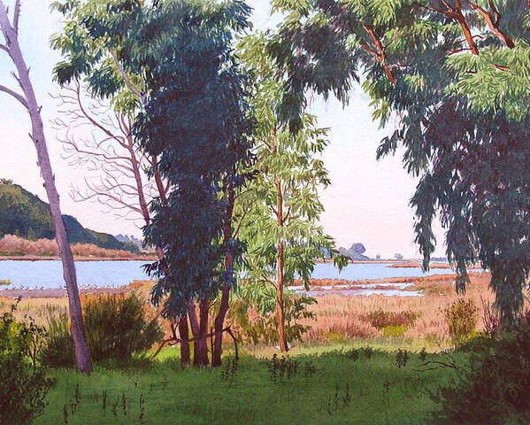 Batiquitos Poster featuring the painting Eucalyptus Trees at Batiquitos Lagoon by Mary Helmreich