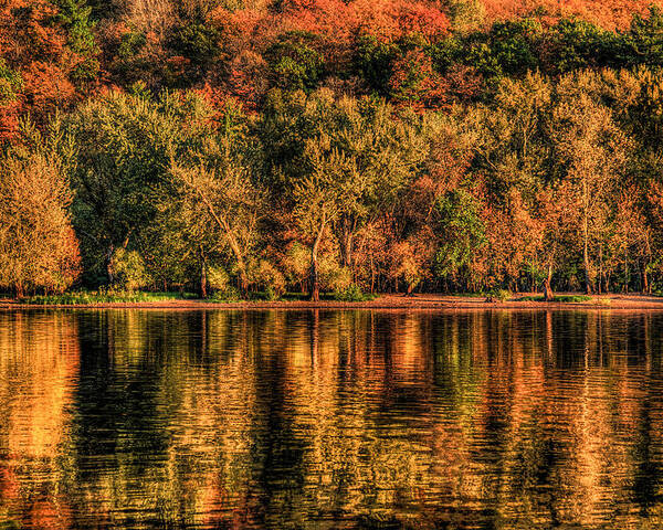 St. Croix River Poster featuring the photograph Fall Foliage by Adam Mateo Fierro