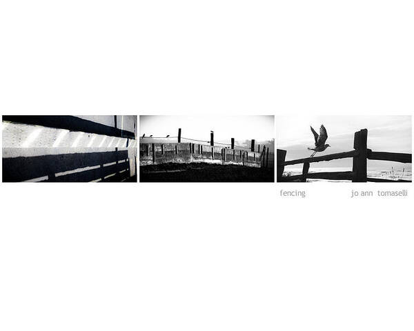 Fencing-triptych-art Poster featuring the photograph Fencing Triptych Image Art by Jo Ann Tomaselli