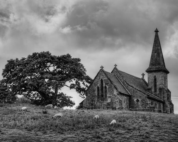Black & White Poster featuring the photograph Fewston Church and Sheep by Dennis Dame