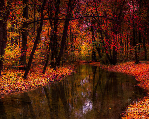 Autumn Poster featuring the photograph Flowing Through The Colors Of Fall by Hannes Cmarits