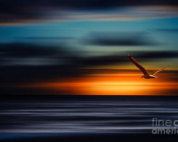 Sylt Poster featuring the photograph Flying Into The Sunset by Hannes Cmarits