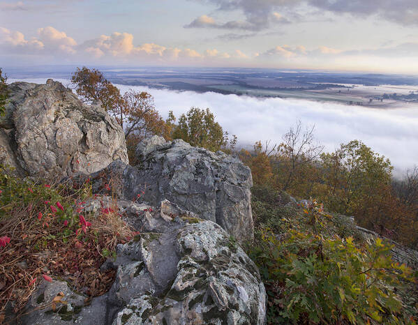 Tim Fitzharris Poster featuring the photograph Fog Over Valley Petit Jean State Park by Tim Fitzharris
