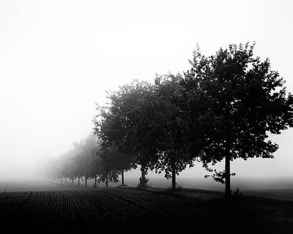 Landscape Poster featuring the photograph Foggy Day by Oliver Buchmann
