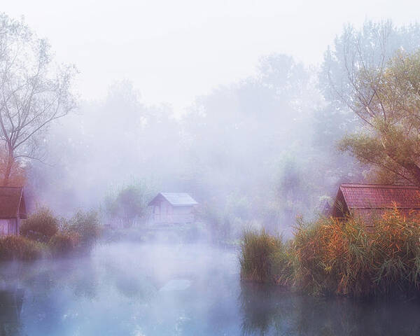 Lake Poster featuring the photograph Foggy Mornings On The Lake by Leicher Oliver