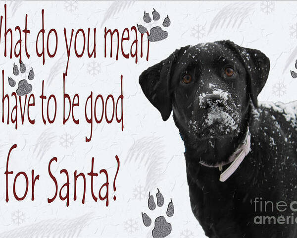 Cathy Beharriell Poster featuring the photograph Good For Santa by Cathy Beharriell