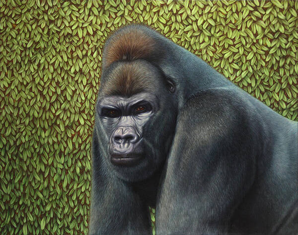 Gorilla Poster featuring the painting Gorilla with a Hedge by James W Johnson