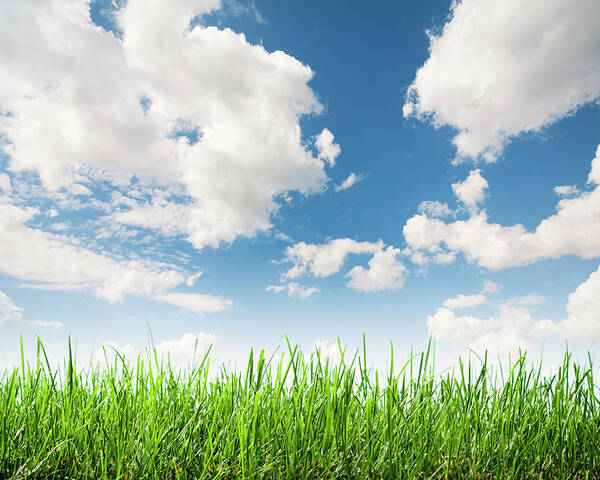 Grass Sky Clouds Background Poster by Thomasvogel 